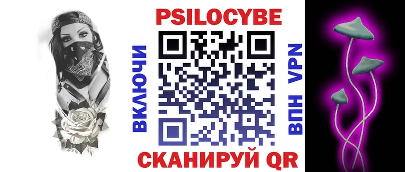 OMG как зайти Черняховск Галлюциногенные грибы Psilocybine cubensis дарнет шоп