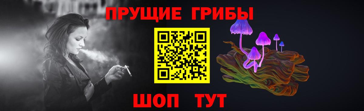 Псилоцибиновые грибы Cubensis  Вход с VPN  Черняховск 