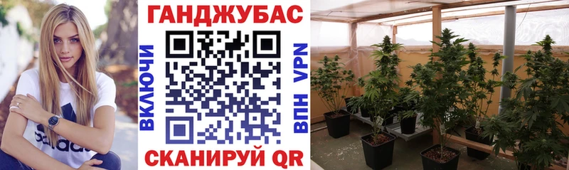 Конопля MAZAR  Черняховск 